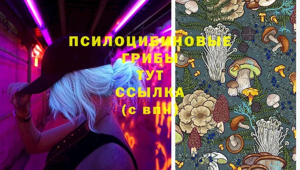 МДПВ Балабаново